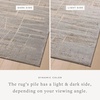 image:imageLoloi Amber Lewis Monty Collection MOT06 PebbleBeige 67 x 93 Area RugNatural  Mist