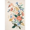 image:imageLoloi Rifle Paper Co Les Fleurs BlushMulti 23 x 39 Accent RugIvory  Multi