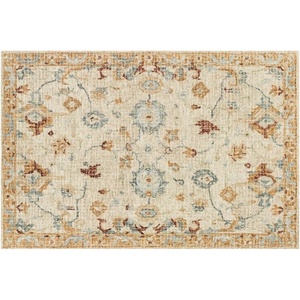 image:imageLoloi Julian 50 x 76 Area Rug in SpaSpa  Classic Design Indoor Rug AntiqueInspired Modern Rug for Living Room Bedroom Entryway amp Hallyway Dining AreasIvory  Multi