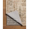 image:imageLoloi Chris Loves Julia Ramona SpiceMulti 50 x 76 Accent RugIvory  Multi