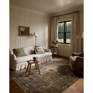 image:imageLoloi Chris Loves Julia Ramona SpiceMulti 50 x 76 Accent RugSpice  Multi