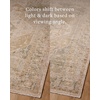 image:imageLoloi Amber Lewis Nella SkyMulti 50 x 76 Accent RugLagoon  Sand