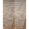 image:imageLoloi Amber Lewis Nella SkyMulti 50 x 76 Accent RugSky  Multi
